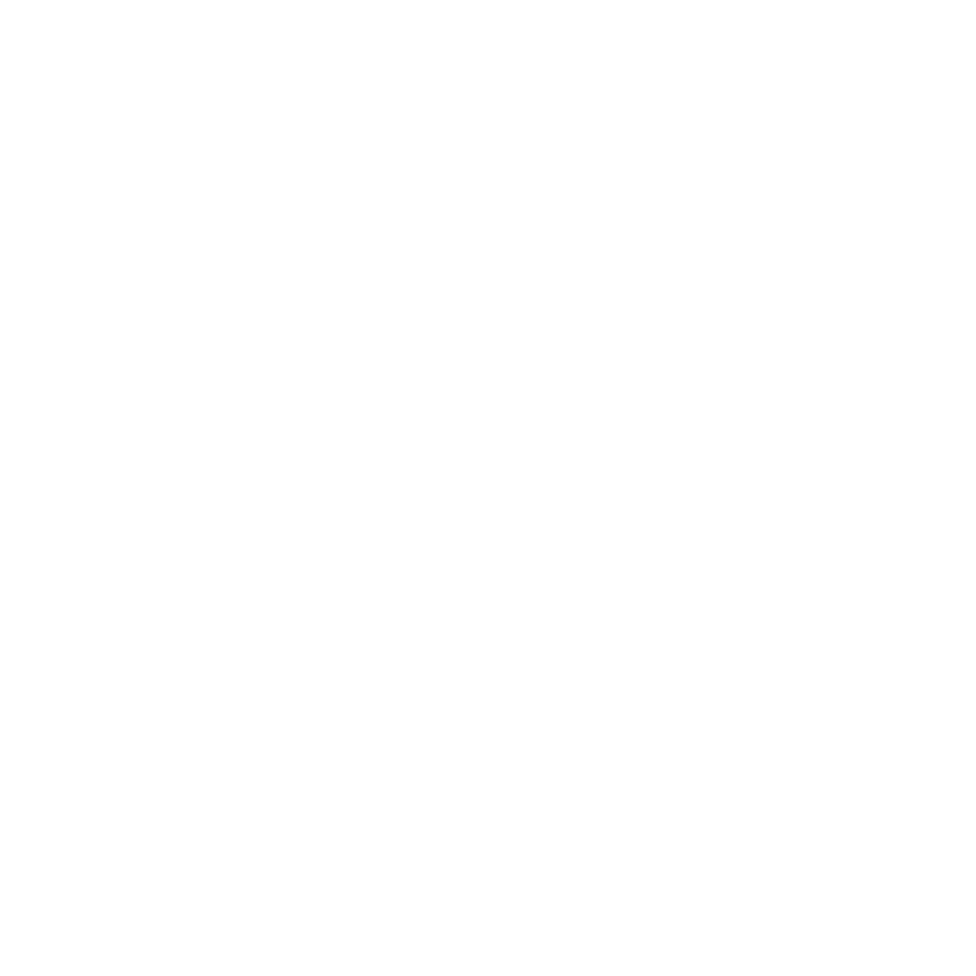 TEAM SNRV.png