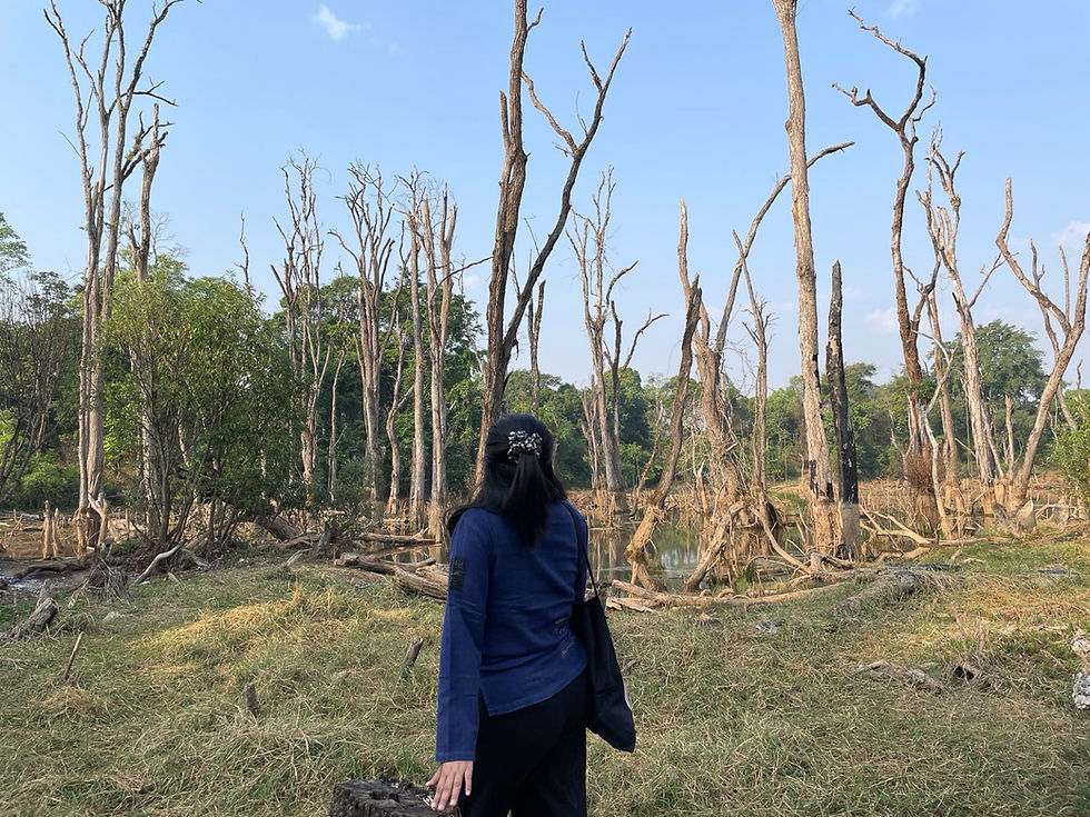 Learning Feminism Before Knowing Its Name: Verse’s Story