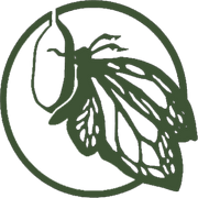 Camp Chrysalis logo