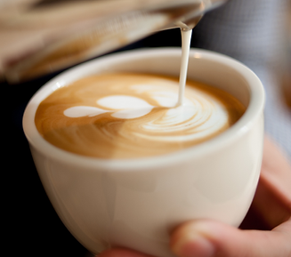 VJZ Insta Posts (15).png