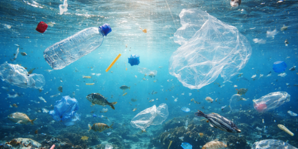 Mikroplastik im Meer