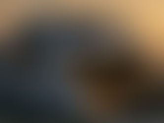 Innovative Sustainable Hybrid Boats: The Future of Luxury on the Water