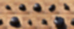 ree