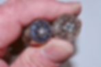 Two most typical tube sockets
