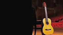 Michael Larence Guitar Performance