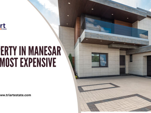 Exploring Property in Manesar Gurgaon & the Most Expensive House in India