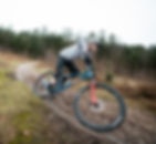 Standard Bikes (non-electric)