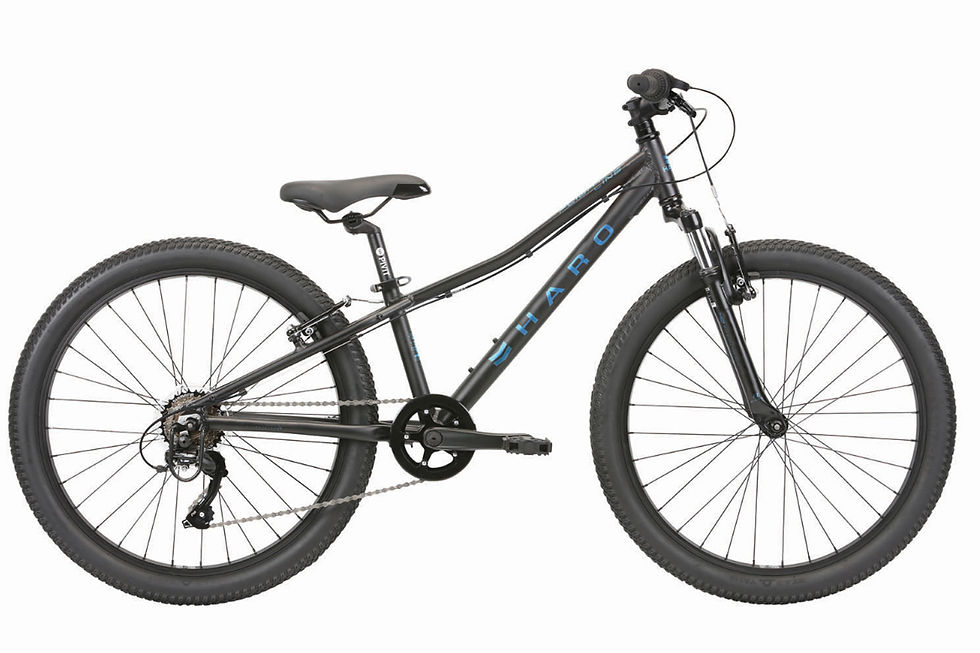 Flightline Trail 29 Haro Flightline One 29 Flightline 29