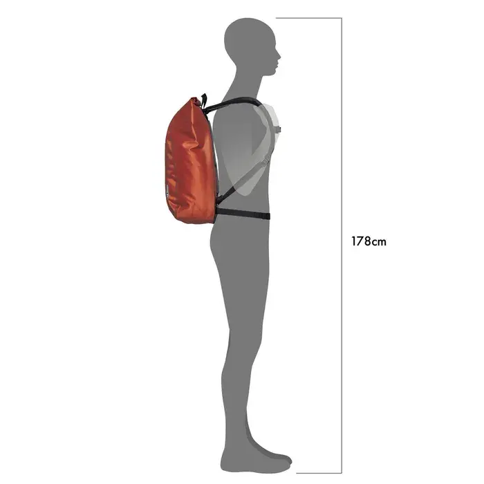 Thumbnail: Ortlieb Velocity Lite