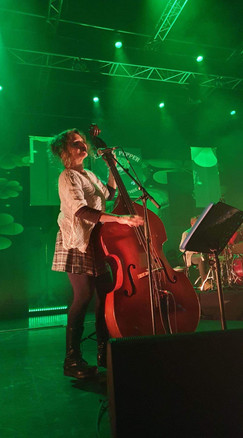 musique celtique festive ,celt and pepper