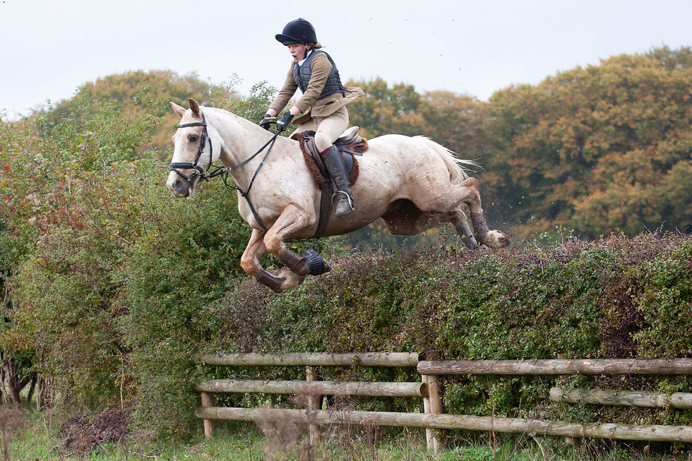 flo over big hedge.jpg