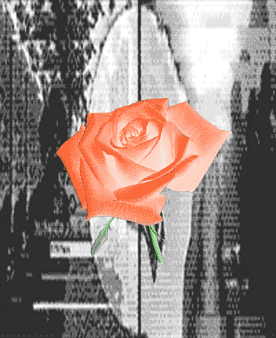 Joslyn Crocco Video Art