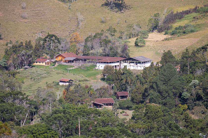 861A0240 PS2.jpg