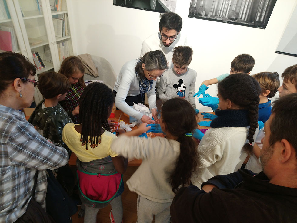 Fête de la Science