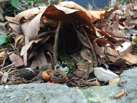 Fairy Houses