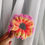 Thumbnail: Knit Scrunchies Set