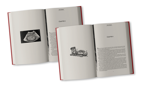 The Stand Book Cover Design