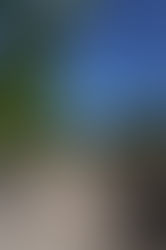 Château de la Selve : RVF  » 15 jolis rosés de Corse, du Rhône et d’ailleurs… »