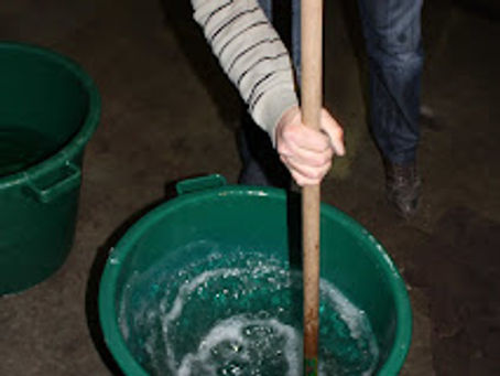 Préparation de notre compost