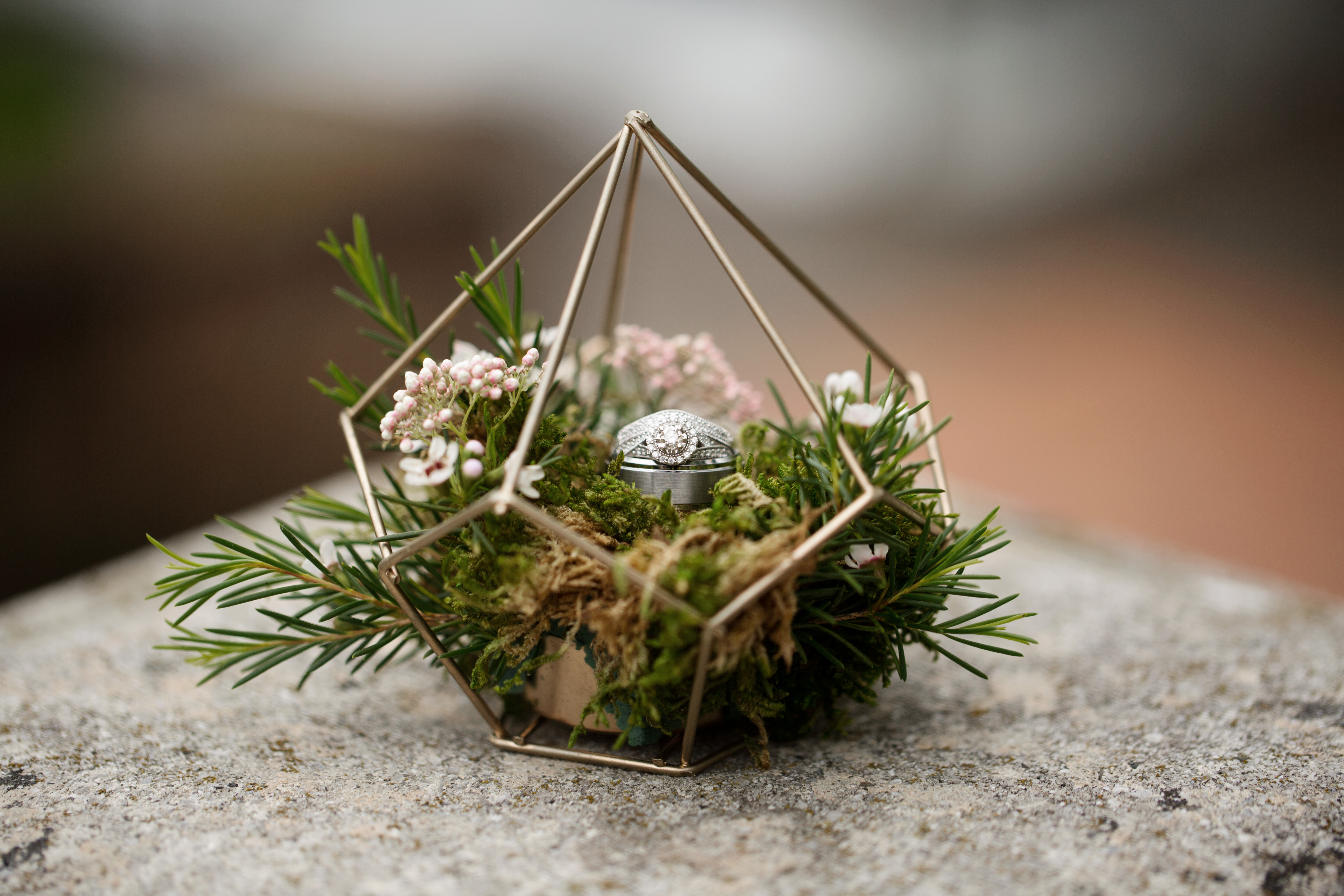 Ring Bearer Design