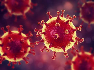 Corona Virus. Duelo sin despedida
