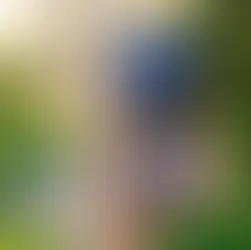 The Google Lens interface for Android