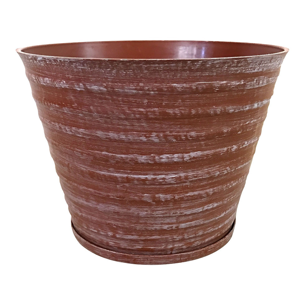 6" Cosmopolitan with Saucer 0.5-Gal