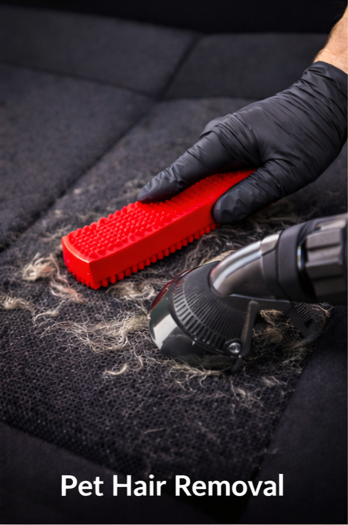 Detailer using brush to remove pet hair from car upholstery
