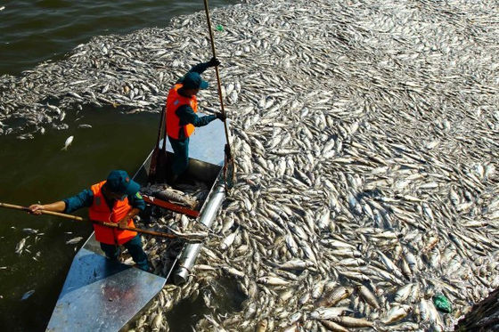 Các chỉ tiêu ô nhiễm môi trường Việt Nam vượt ngưỡng cho phép