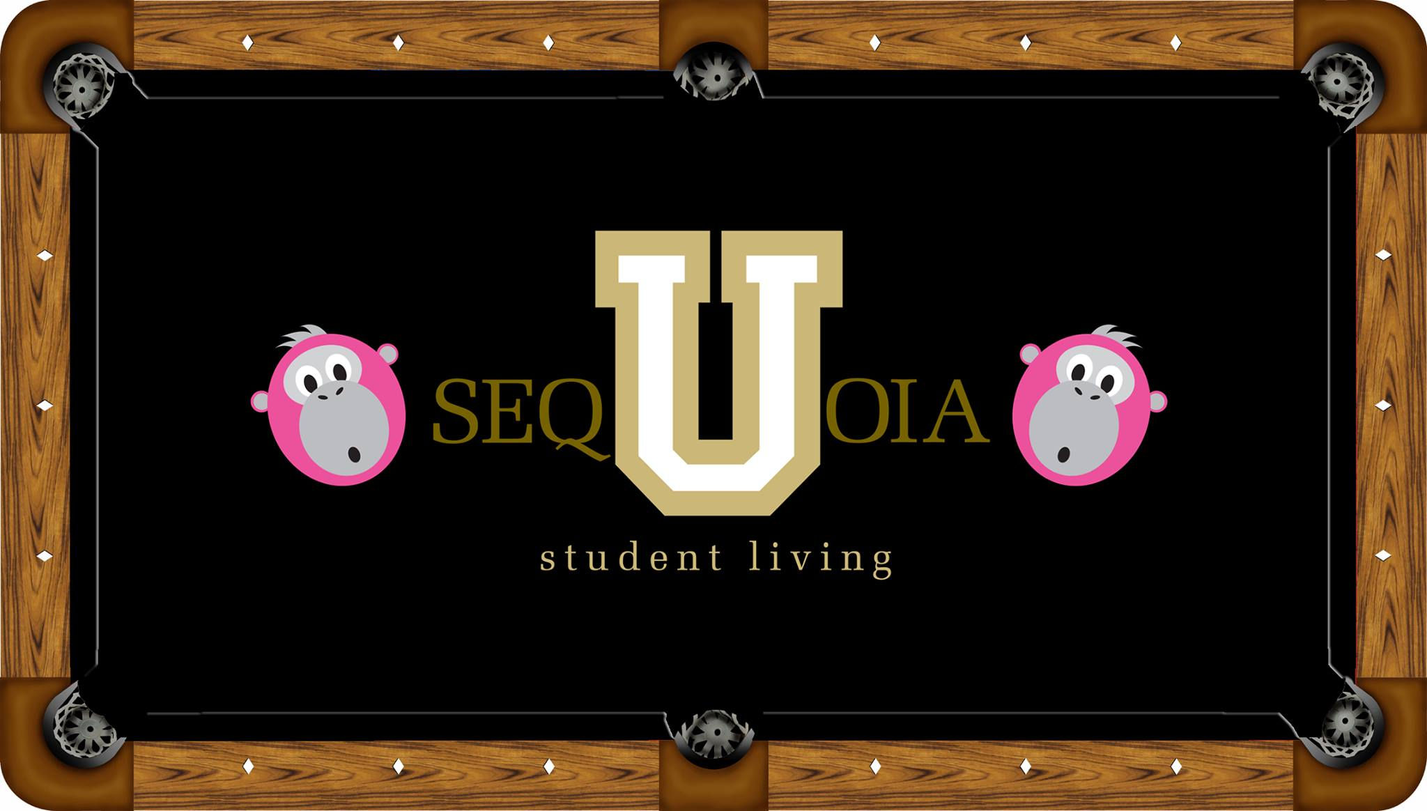 Student Living Custom Pool Table Felt