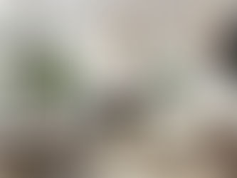 家の中に眠る「隠れた資産」｜高級家具の資産価値を知らないと損をする理由