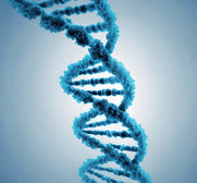 Genetic Methylation Test: What an MTHFR Result Can (and Can't) Tell You About ADHD, Mood and Focus