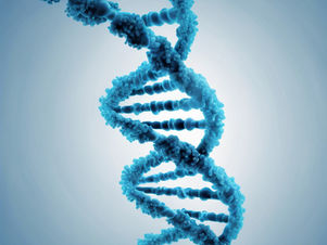 Genetic Methylation Test: What an MTHFR Result Can (and Can't) Tell You About ADHD, Mood and Focus