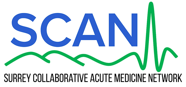 SCAN Logo (Bold).png