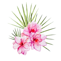 AdobeStock_84020584.png