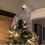 Thumbnail: Boston Terrier, with Angel Wings, Dog, Tree Topper, Holiday Decoration