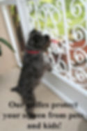 Paw Print, Screen Door Grille