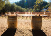 Late Winter in the Robertson Wine Valley