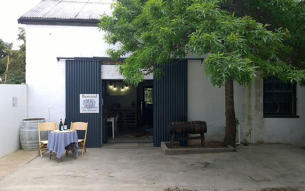 Ilse Schutte: Artisanal Wines at Bemind Wyne