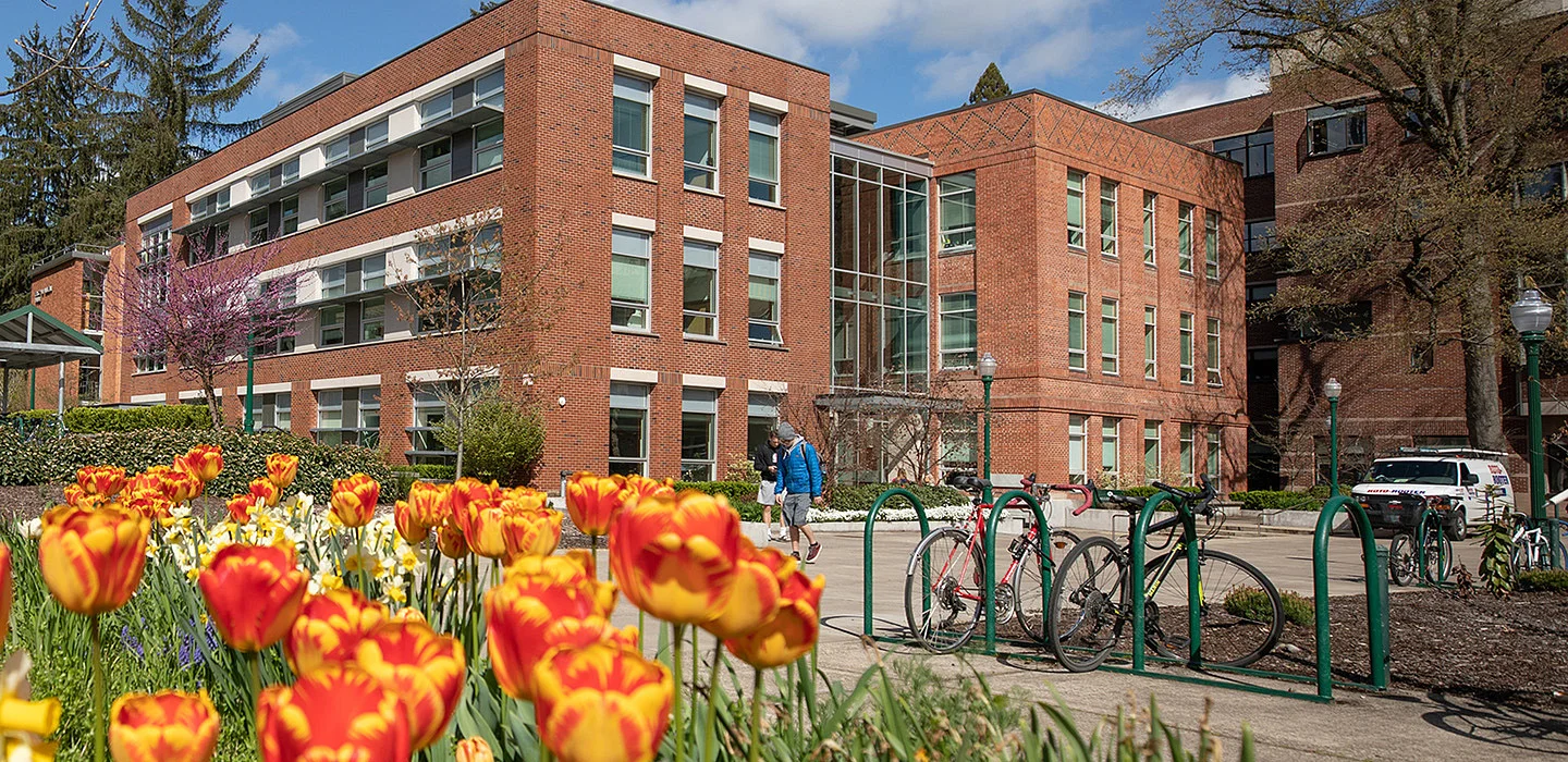 allen_spring_1440.webp