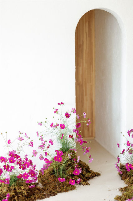 flowers en masse cosmos floral installation Minneapolis florist