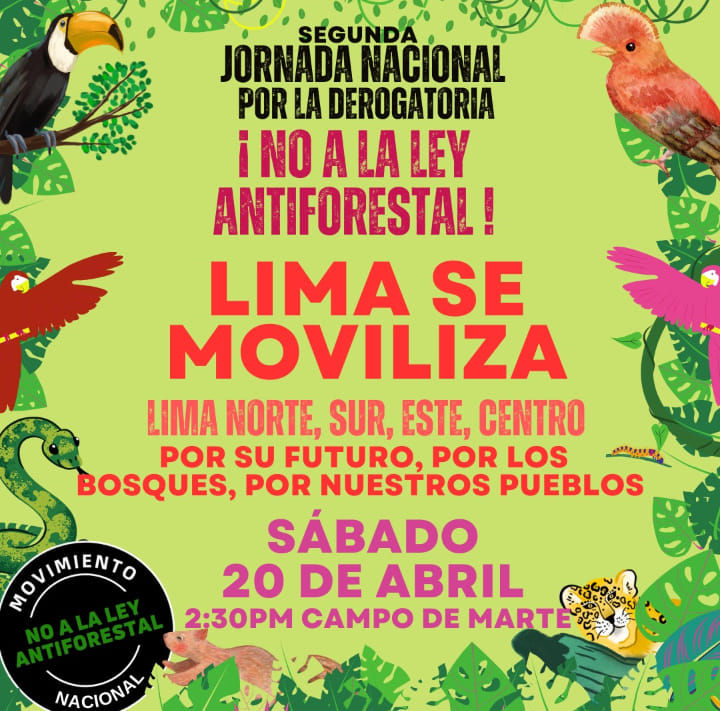 ¡No a la ley Forestal!