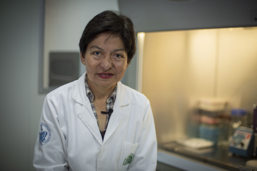 Dra. Lilia Cedillo Ramírez