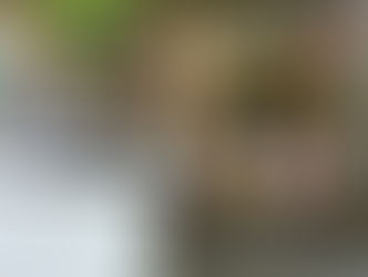 【終了】9/7(日)『第51回森の手づくり市』@下鴨神社 糺の森