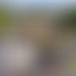 【終了】11/16(日)『第22回ものづくりGardenマルシェ』@京都府立植物園