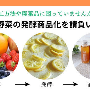 発酵OEM製造に関して