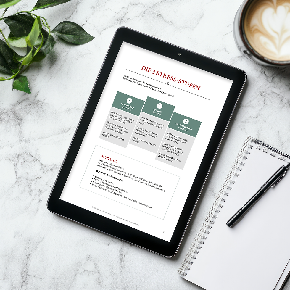 Miniaturbild: Wie sich Stress wirklich zeigt - Ebook