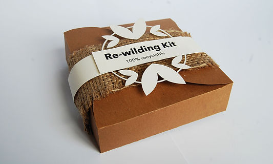 Mara Green | Re-wilding Urban Communities