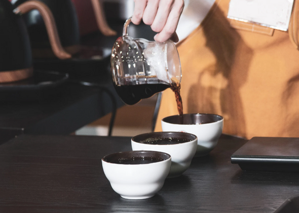 Séjour découverte du café et du cacao en français en 2 jours