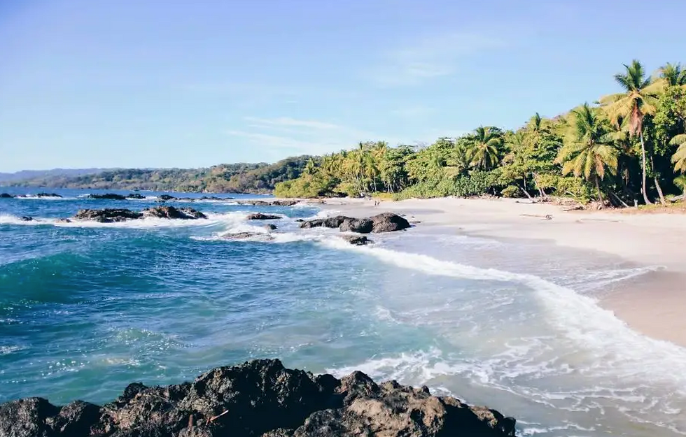 Découvrir Montezuma : cascades, plages et excursions authentiques